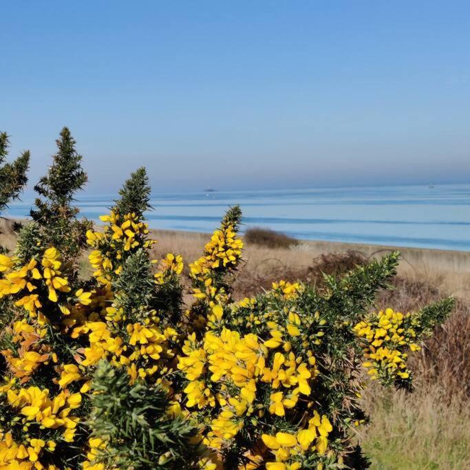 Escape To The Coast In A Luxurious Private Apartment Herne Bay Bagian luar foto